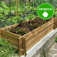 Onlywood Orto Rialzato Legno 4 Scomparti in Pino Trattato 120 x 40 x 36 cm