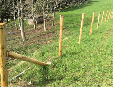 Pali in legno di castagno