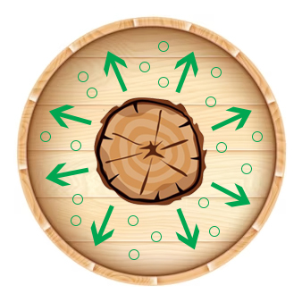 Trattamento in Autoclave