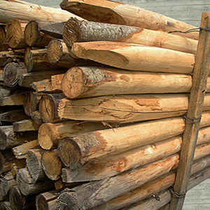 Pali in legno di castagno scortecciato Onlywood