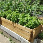 Onlywood Orto Rialzato Legno 3 Scomparti in Pino Trattato 140 x 60 x 36 h. cm-39665