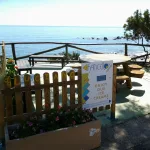 Onlywood Steccato in Legno NICE TAVOLETTA impregnato cm 180 x 100 h. - foto 12