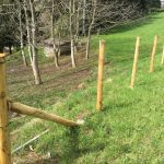 Palo legno di CASTAGNO Scortecciato con punta CERTIFICATO PEFC - foto 6