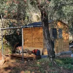 Onlywood Casetta in legno CON PAVIMENTO e TRATTATA 265x183 sp.12 mm - foto 5