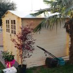 Onlywood Casetta in legno da giardino SAT 248 x 248 x 207 cm-39724