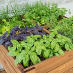 ORTOLEGNO APPLE in legno impregnato 80x80x88 h. cm-37119