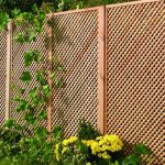 Onlywood Grigliato in Legno maglia stretta PRIVACY 120 X 183 h. cm-0