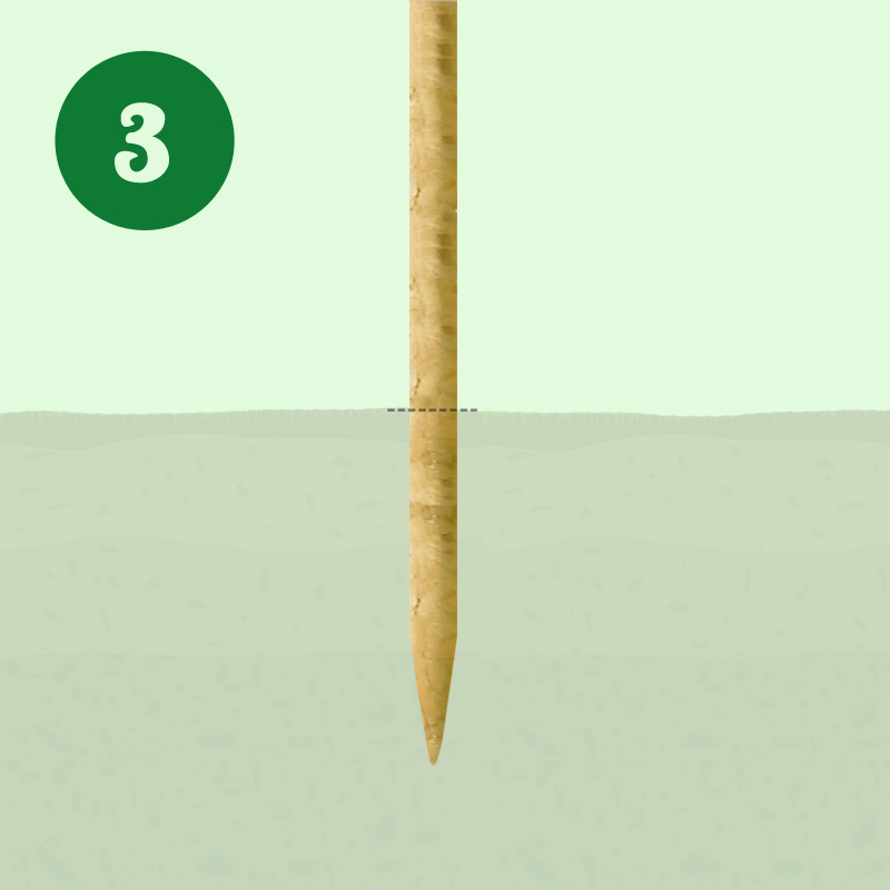 Pali in legno di Pino Russo trattati in Autoclave Pali in legno di Pino Russo trattati in Autoclave