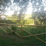 Onlywood Staccionata in Legno a Croce Sant'Andrea in Pino. Dimensioni (misure L 150 centimetri x H 150 centimetri). Modulo continuativo con 1 piantone-48969