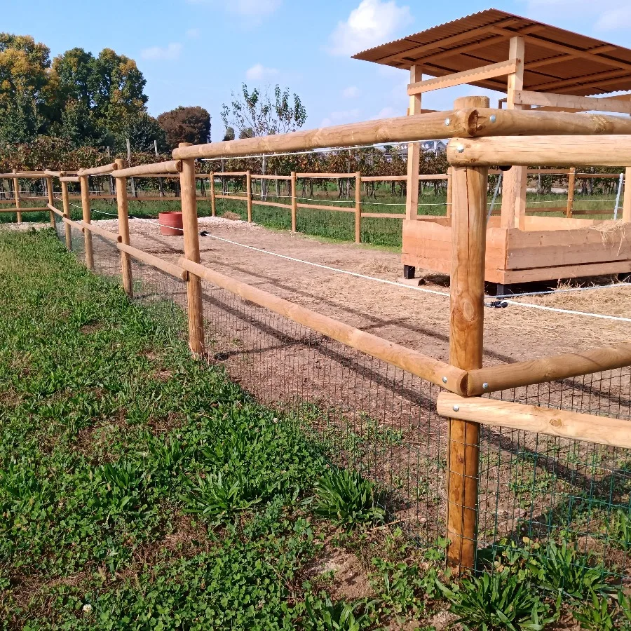 Onlywood Staccionata Valdostana a mezzi pali in Pino Certificato (L 150cm x H 150cm) - Modulo iniziale con 2 piantoni-49011