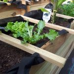 Onlywood Orto Rialzato Legno 4 Scomparti in Pino Trattato 120 x 40 x 36 cm-56424