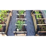 Onlywood Orto Rialzato Legno 4 Scomparti in Pino Trattato 120 x 40 x 36 cm-56422