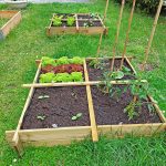 Onlywood Orto Rialzato Legno 4 Scomparti in Pino Trattato 100 x 100 x 18 cm-0