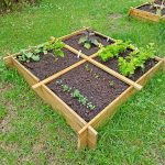 Onlywood Orto Rialzato Legno 4 Scomparti in Pino Trattato 100 x 100 x 18 cm-56372