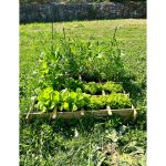 Onlywood Orto Rialzato Legno 16 Scomparti in Pino Trattato 120 x 120 x 18 cm-80784