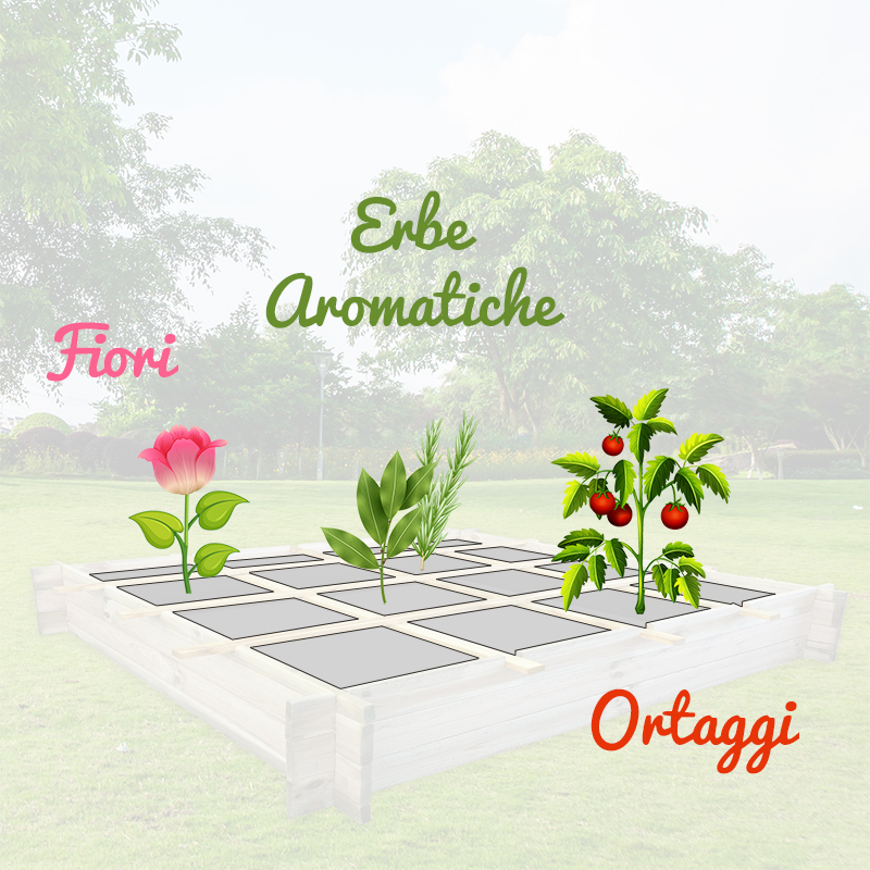 Orto Rialzato Diverse tipologie di piante Orto Rialzato Diverse tipologie di piante