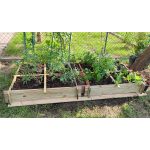 Onlywood Orto Rialzato Legno 4 Scomparti in Pino Trattato 100 x 100 x 18 cm-57272