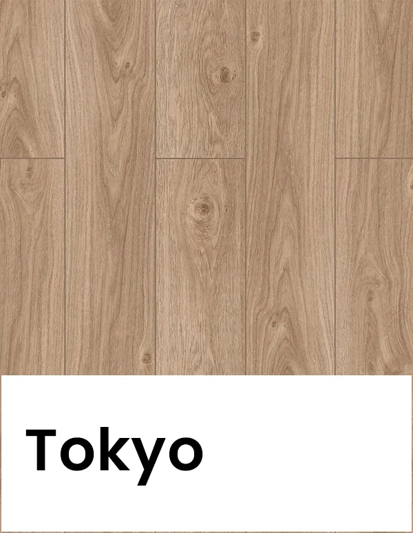 Urban tokyo
