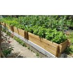 Onlywood Confezione 2 Pezzi Orti Rialzati 4 Scomparti in Legno Trattato 120 x 40 x 36 cm-79619