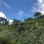 Onlywood Staccionata in Legno Rustica Valdostana a pali interi in Castagno Scortecciato-83566