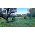 Onlywood Staccionata in Legno Croce Sant'Andrea in Pino PREZZO a Campata 150/200 cm - foto 16