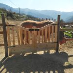 Cancello in Legno Pedonale modello GAND 100 x 130 cm-85699