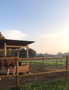 Staccionata in Legno VALDOSTANA a mezzi pali - immagine 3