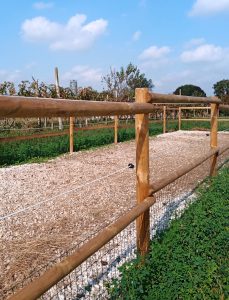 Staccionata in Legno VALDOSTANA a mezzi pali - immagine 4