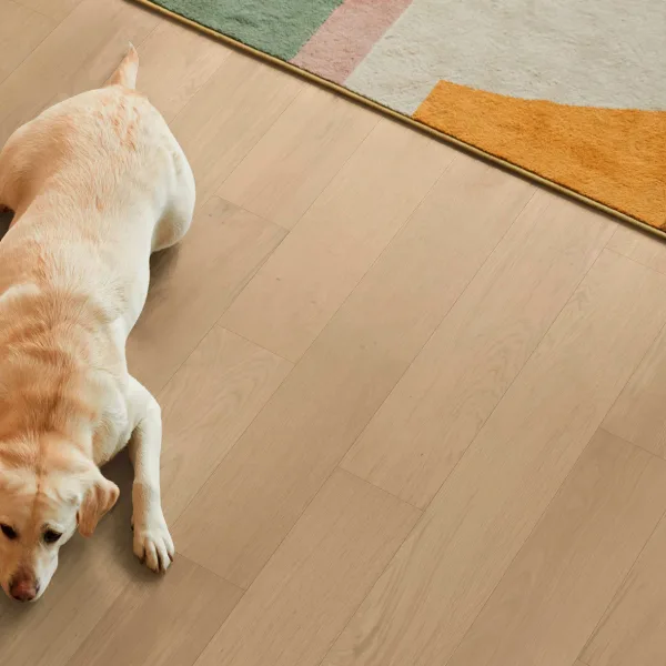 Florian Parquet prefinito Family in legno di Rovere SPRITZ Classe Prime - 100% Made in Italy-0