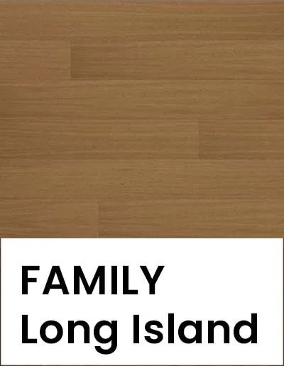 Long island