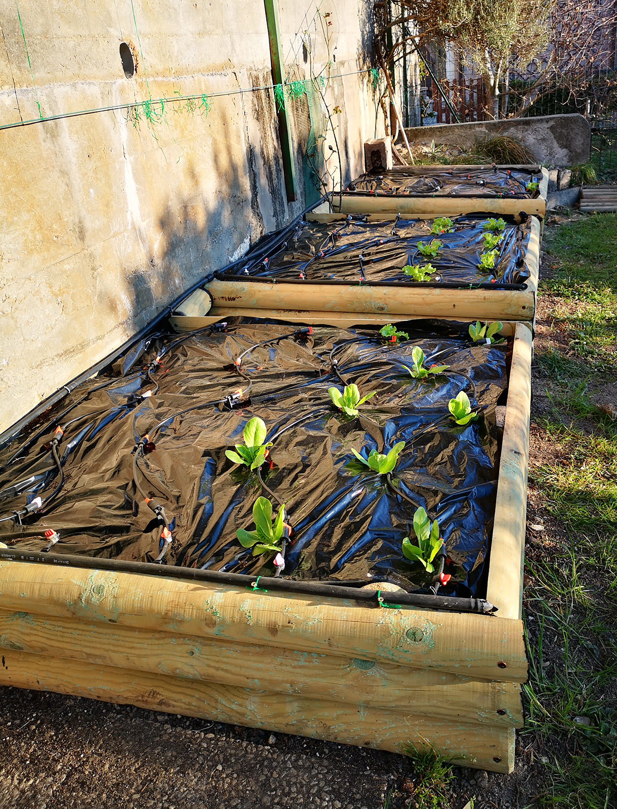 mezzi-pali-pino-foto-clienti-1