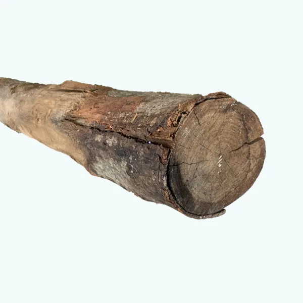 Palo legno di CASTAGNO Scortecciato – CERTIFICATO PEFC