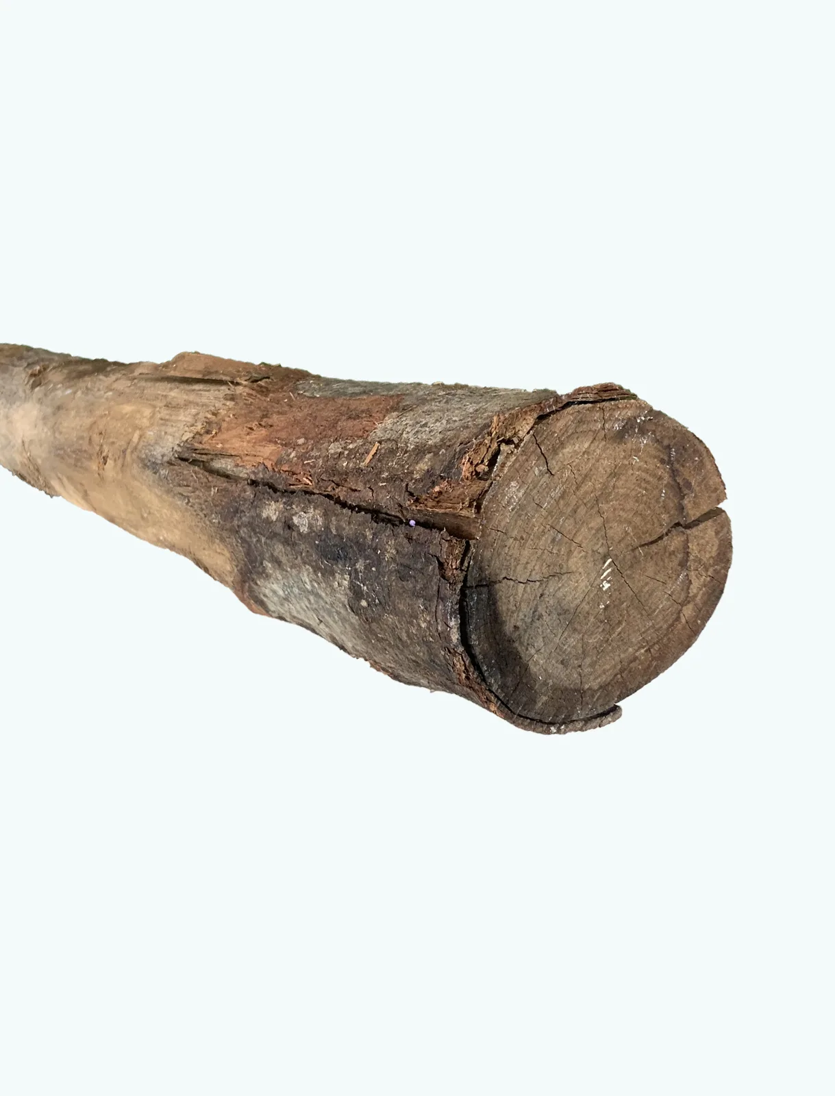 Palo legno di CASTAGNO Scortecciato – CERTIFICATO PEFC