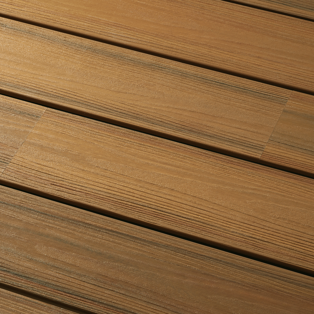 Light Brown Light Brown