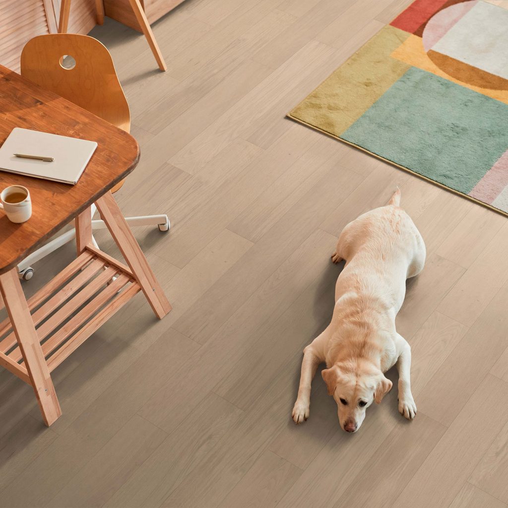 errori da non fare scelta parquet 4