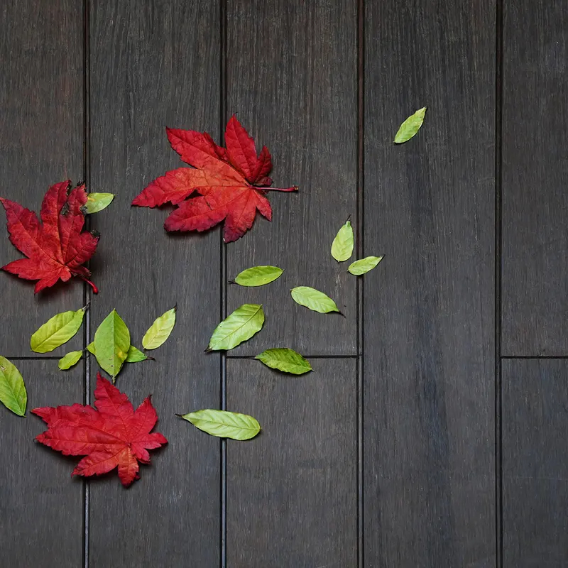 fresatura a scomparsa