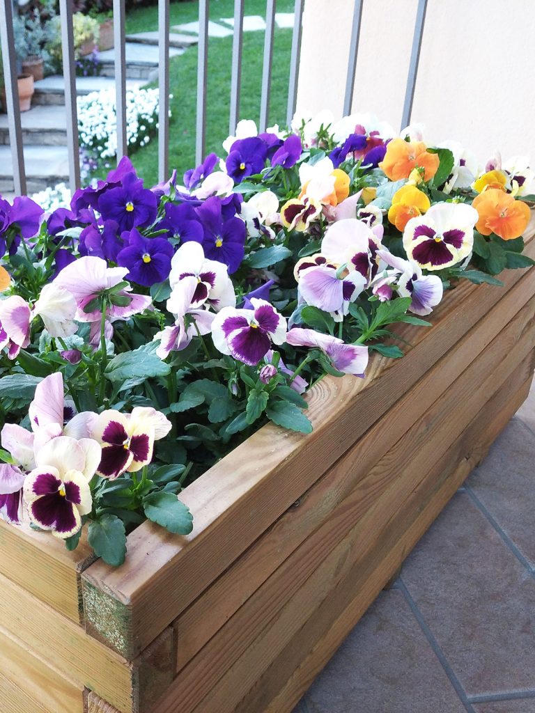 legno trattato autoclave 1