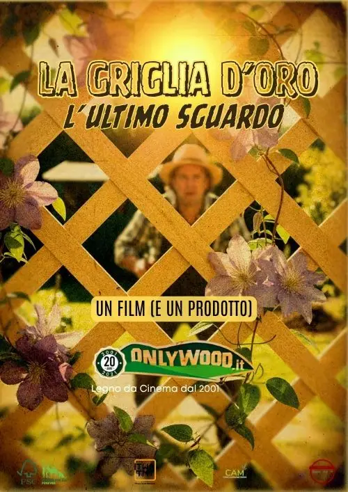 i grigliati per lo sguardo sono solo su onlywood legno da cinema