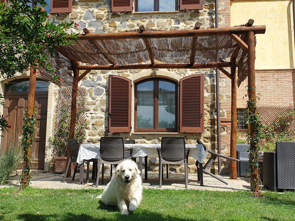 Pergola rustica casa in campagna