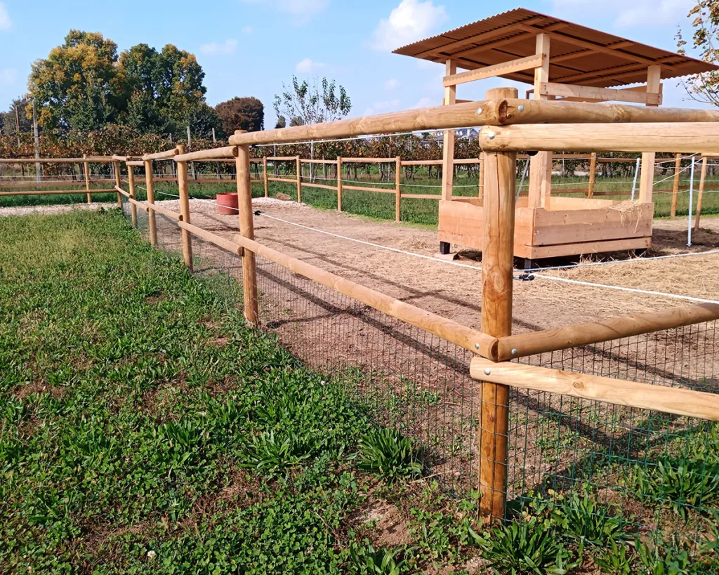 Staccionata in legno per maneggio cavalli