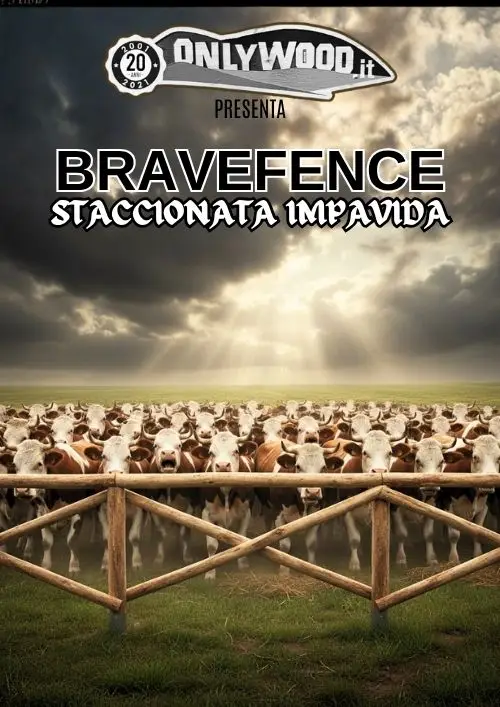 la staccionata impavida è solo su onlywood legno da cinema