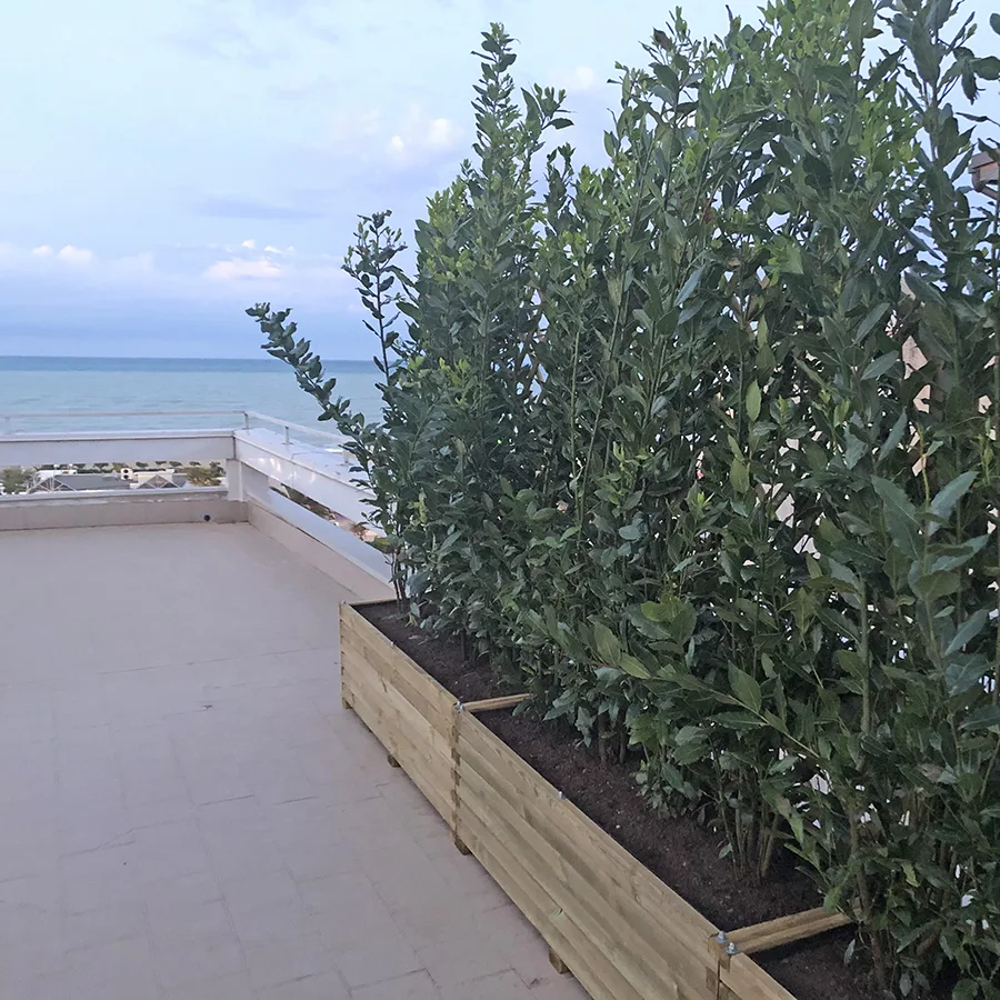 Fioriere in legno LINEA lunghe con siepe sul perimetro della terrazza