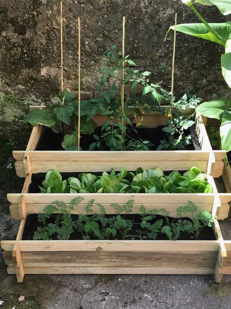 Orto rialzato a cascata con fiori e piante ornamentali