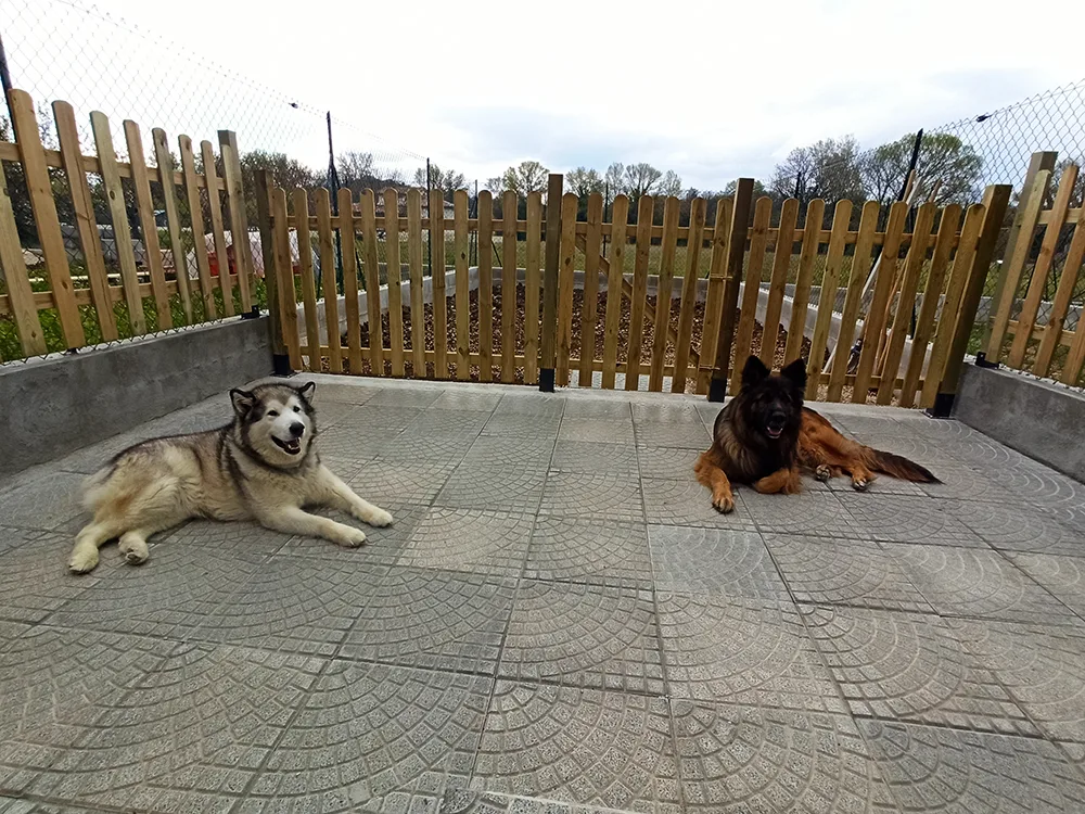 Recinto per cani da esterno realizzato con steccati in legno a pannelli