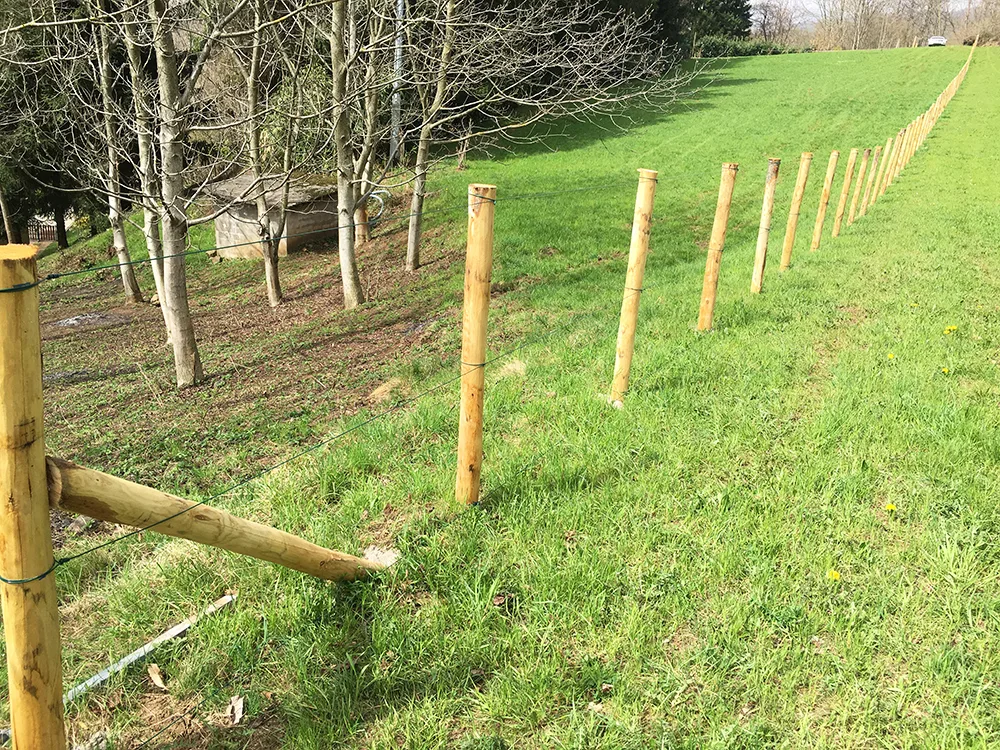 Recinzione per terreno agricolo realizzata con pali di castagno scortecciato con punta e rete metallica